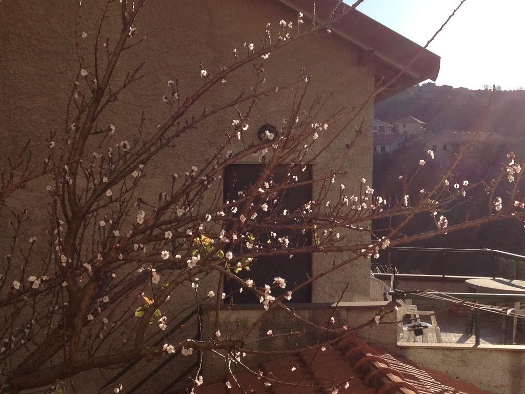 Agriturismo Olivarancio Leivi Dış mekan fotoğraf