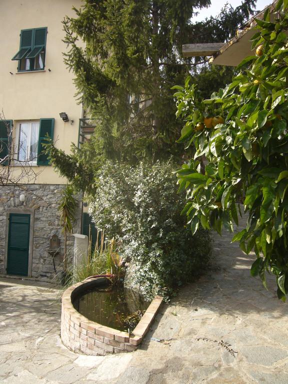Agriturismo Olivarancio Leivi Dış mekan fotoğraf
